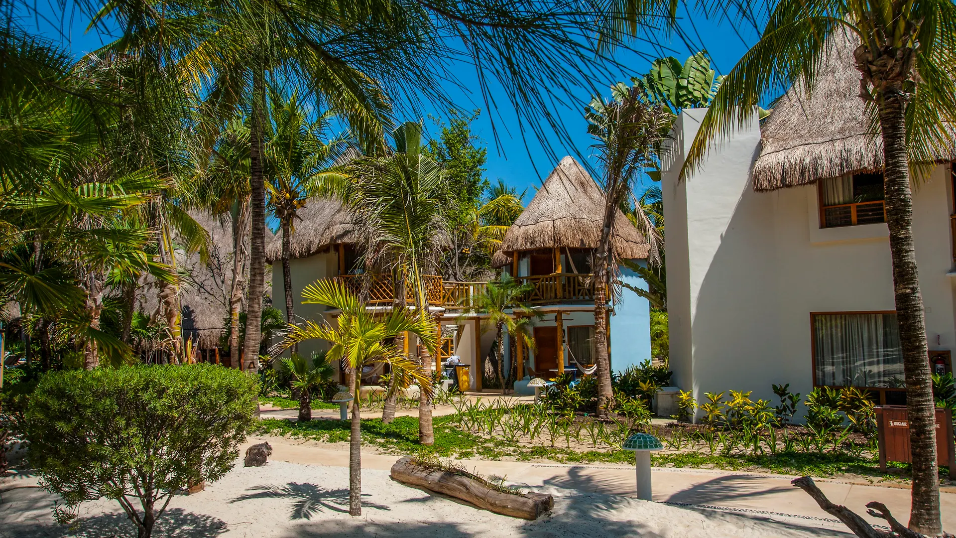 Mahekal Beach Front Resort&Spa Playa del Carmen